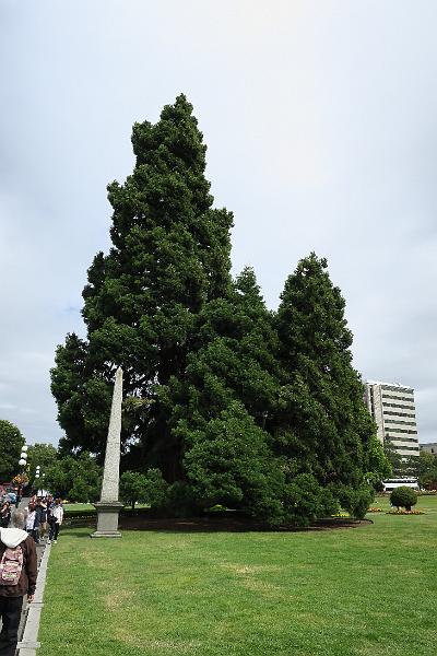 IMG_5284.JPG
