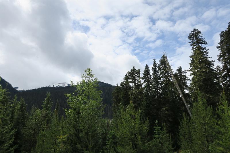 IMG_5556.JPG