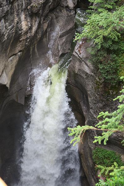 IMG_5786.JPG