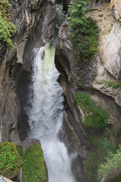 IMG_5788.JPG