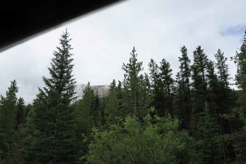 IMG_5976.JPG