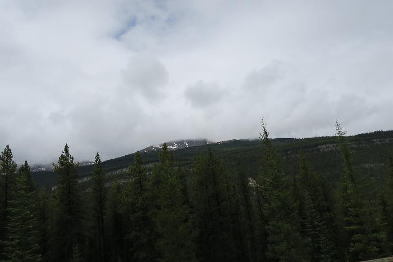 IMG_5980.JPG