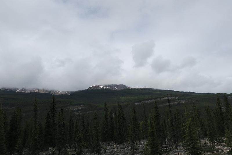 IMG_5982.JPG