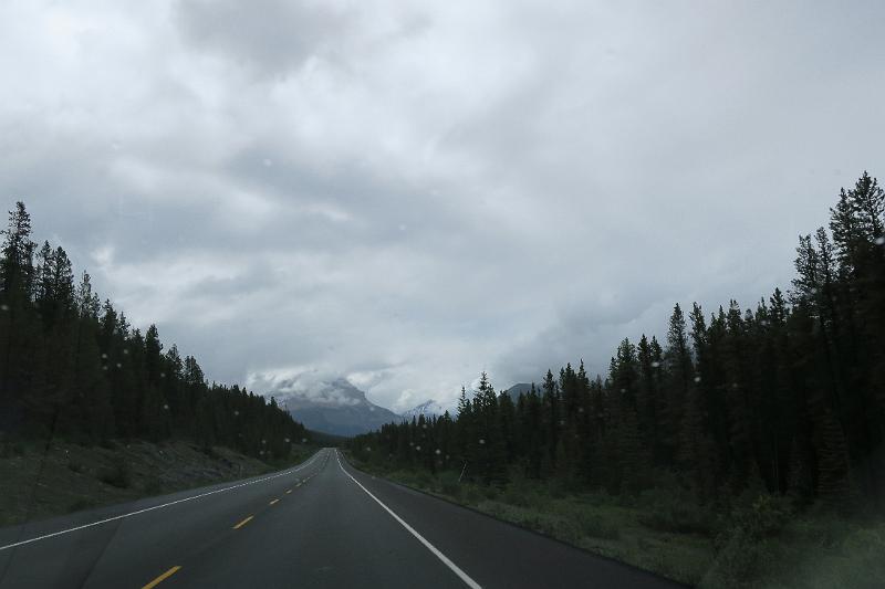 IMG_5984.JPG