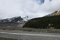 IMG_6019