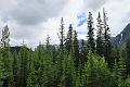 IMG_6077