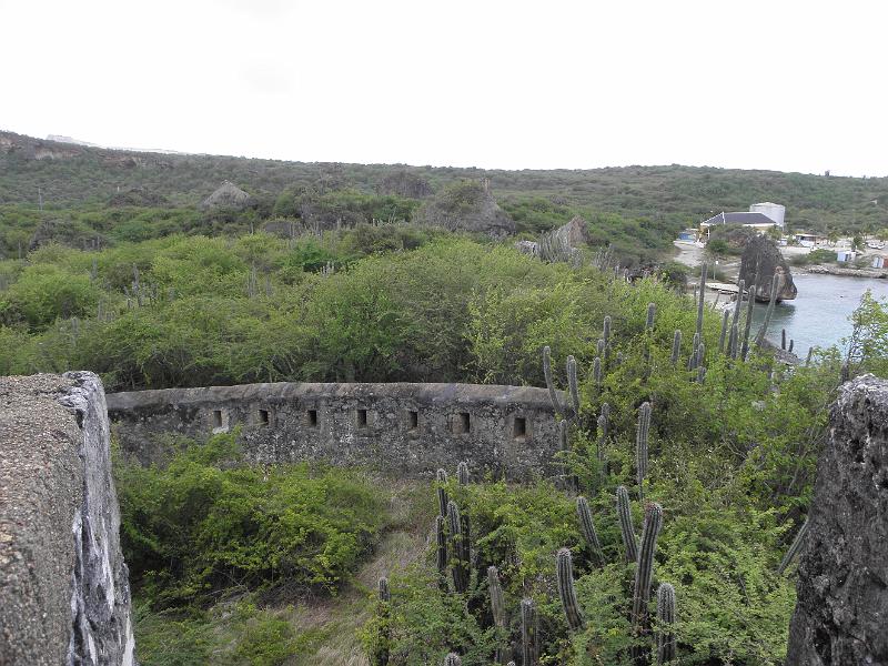 P6120620.JPG