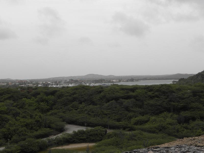 P6120622.JPG