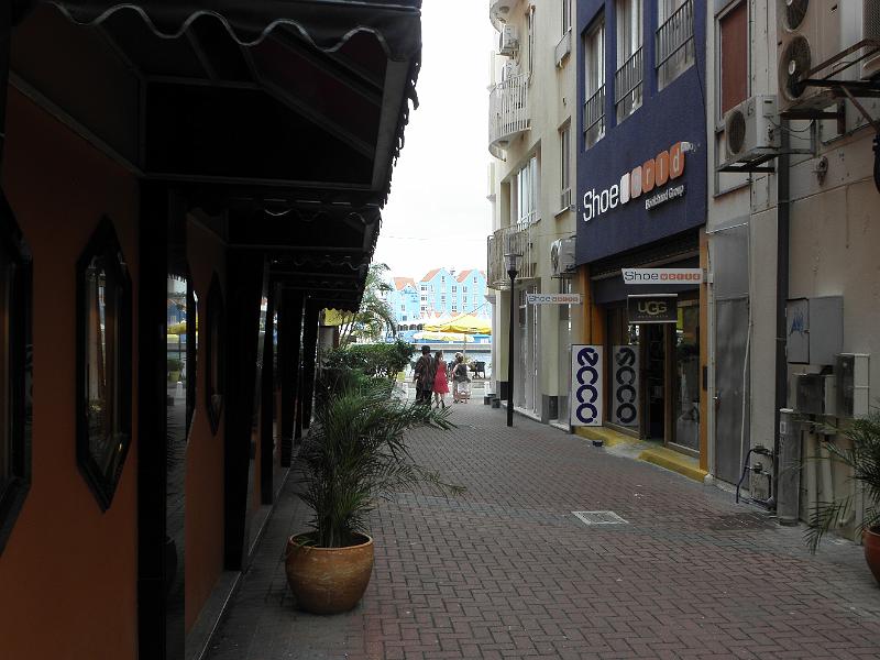 P6130677.JPG