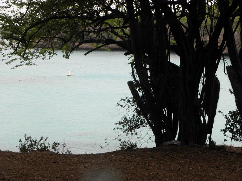 P6140784.JPG