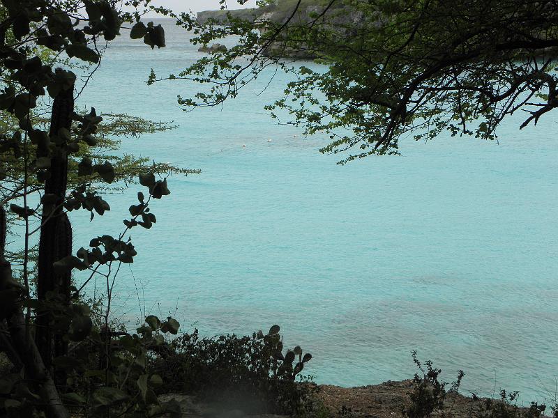 P6140785.JPG