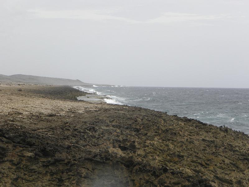 P6140802.JPG