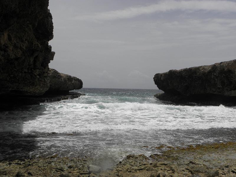 P6140821.JPG