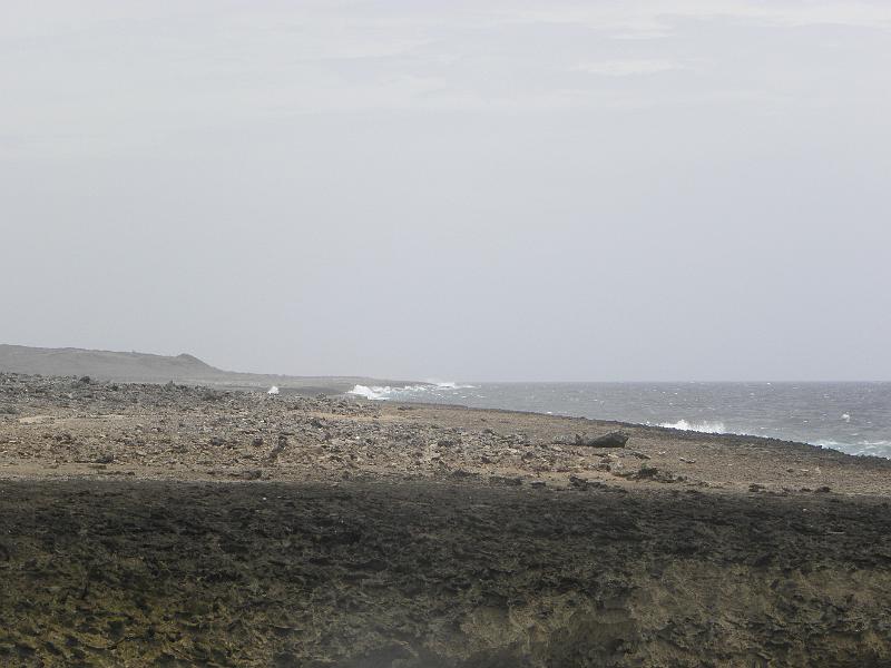 P6140837.JPG