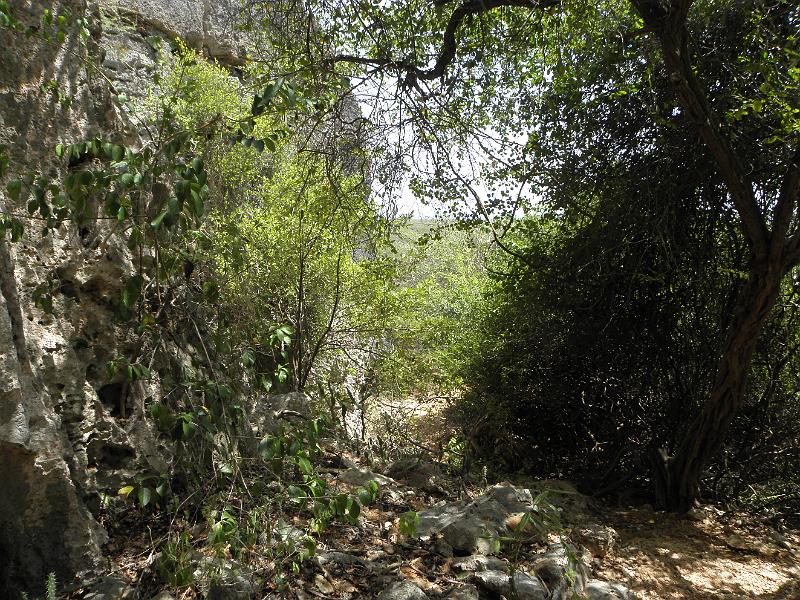 P6150894.JPG