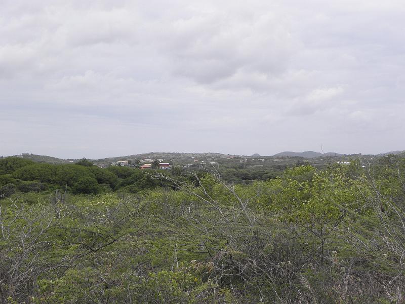 P6170964.JPG