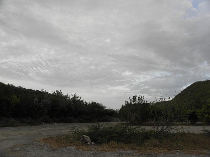 P6170991.JPG