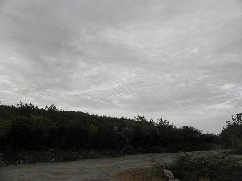 P6170993.JPG