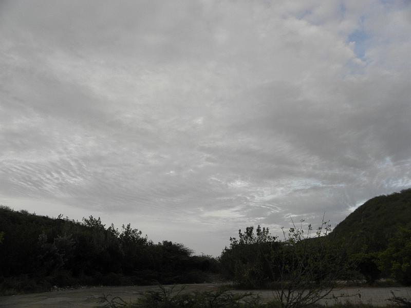 P6170994.JPG