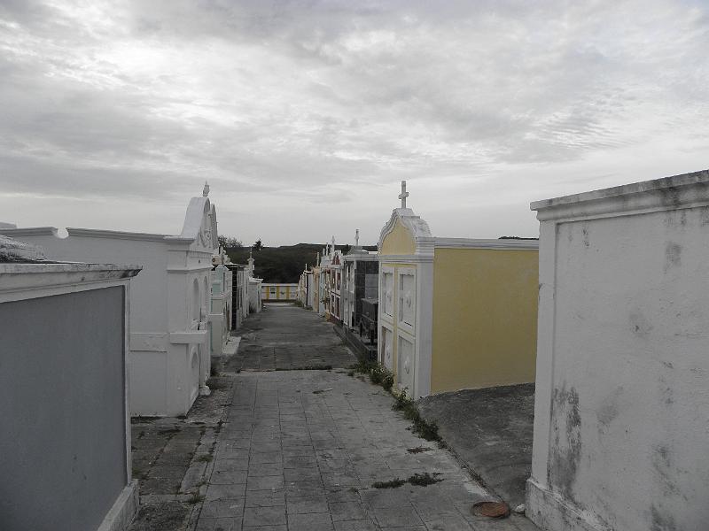 P6171006.JPG