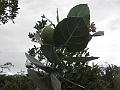 P6170999