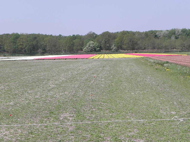 P4250001.JPG