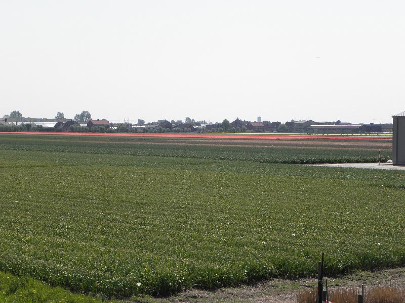 P4250005.JPG