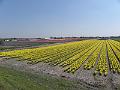 P4250004