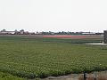 P4250005