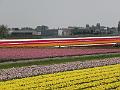 P4250006