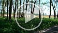 VID00004
