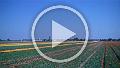VID00008