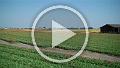 VID00009