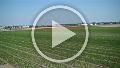 VID00010