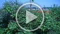 VID00013