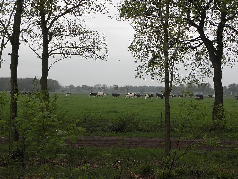 P5080005.JPG