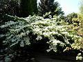P5010170