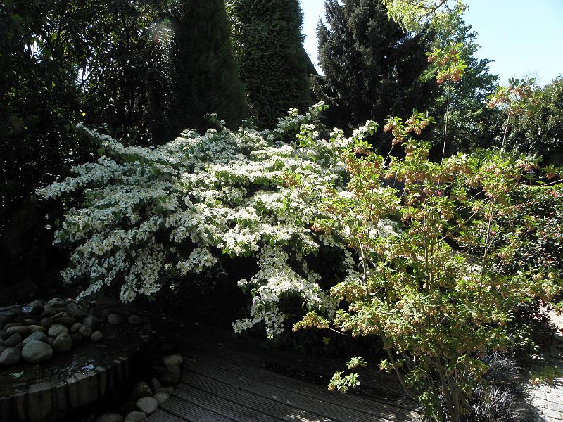 P5010062.JPG