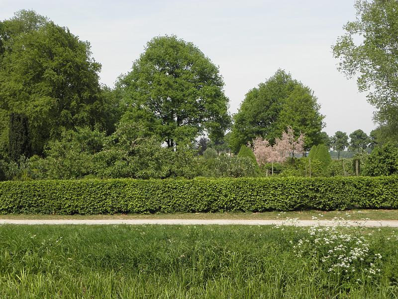 P5050200.JPG