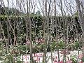 P5010127