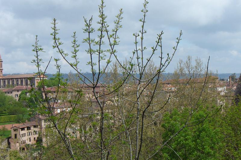 DSC04594.JPG