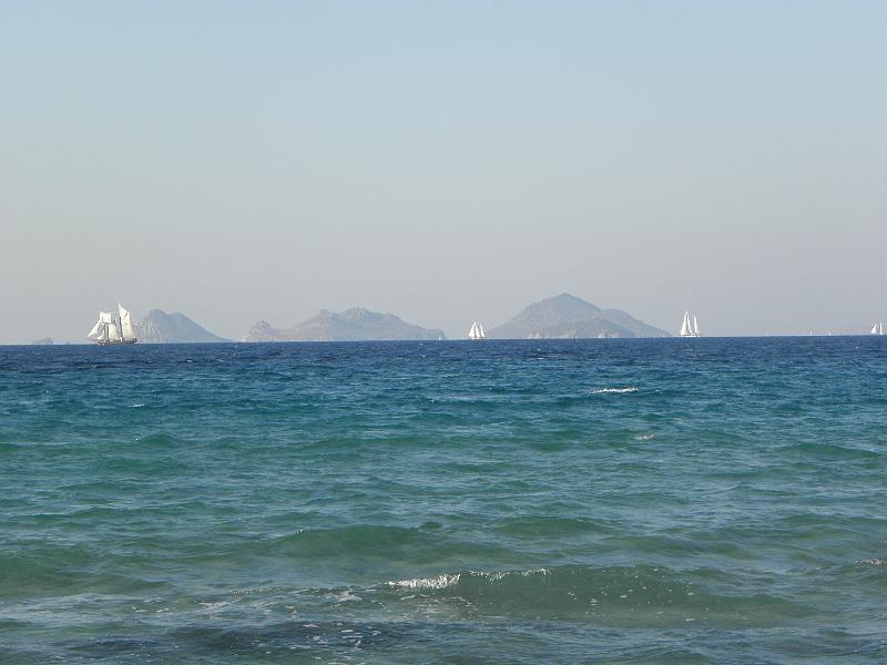 PA220003.JPG