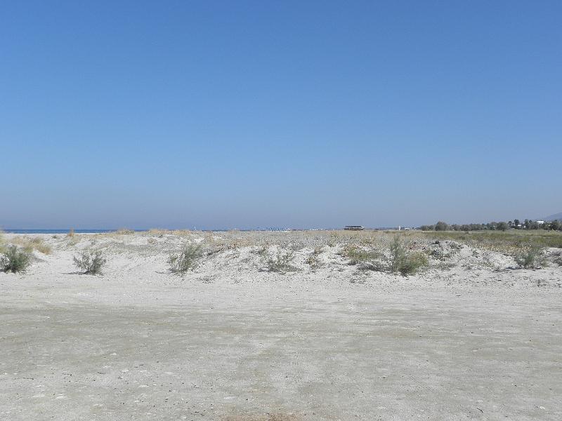 PA230020.JPG