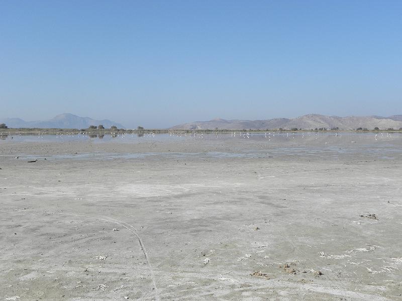 PA230025.JPG