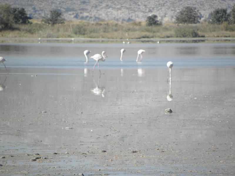 PA230026.JPG