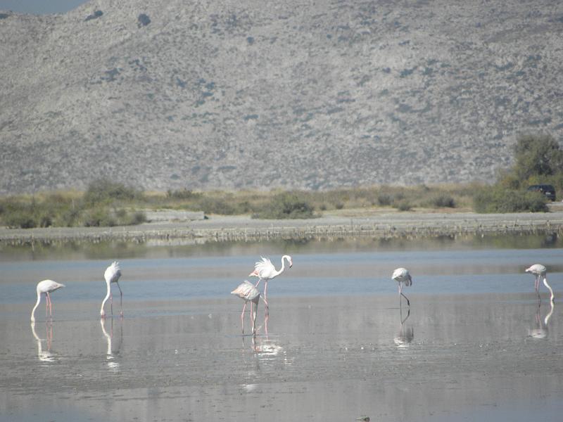 PA230028.JPG