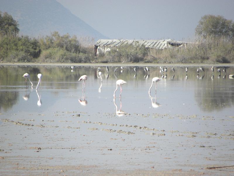 PA230029.JPG