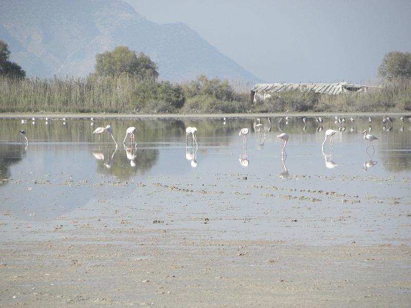 PA230030.JPG