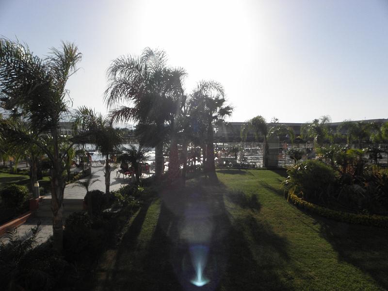 PA230034.JPG