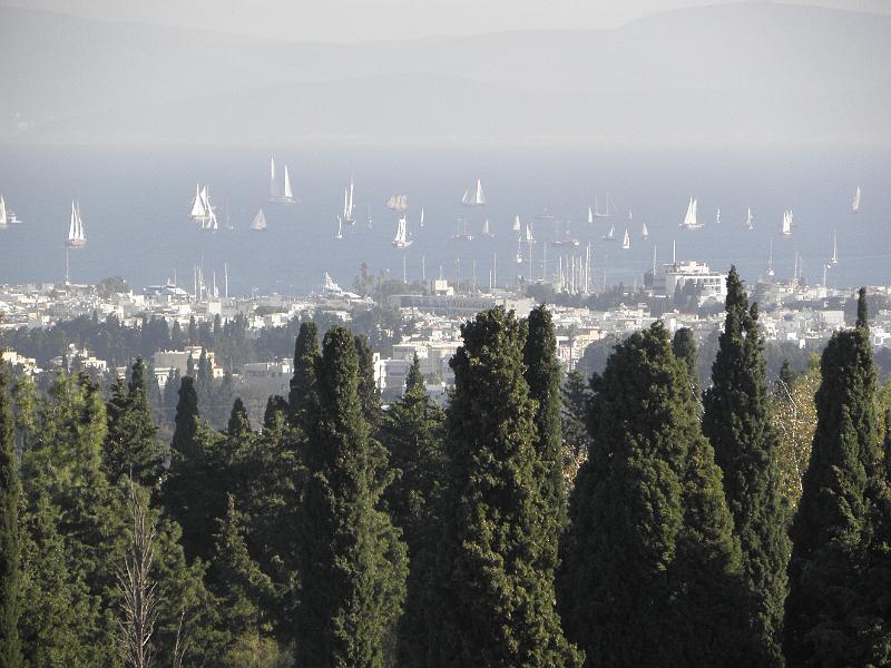PA240057.JPG